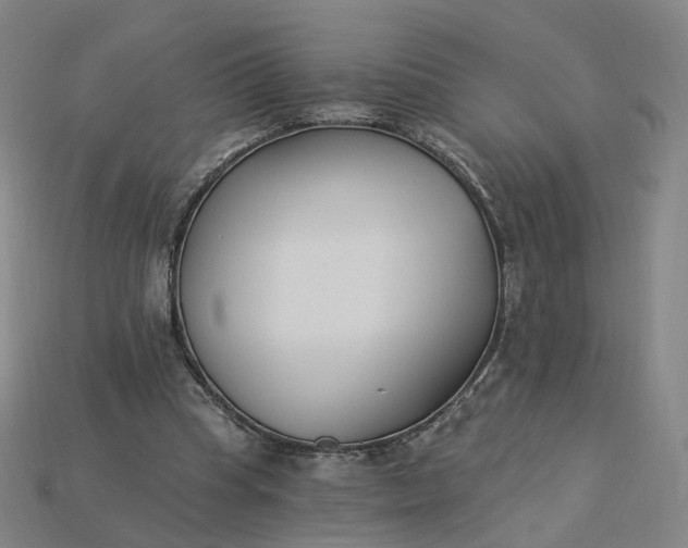 X0000115240345200911131709