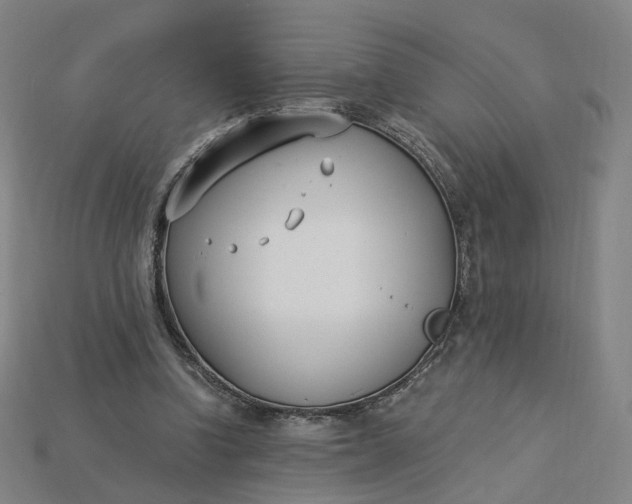 X0000115240346200911131709