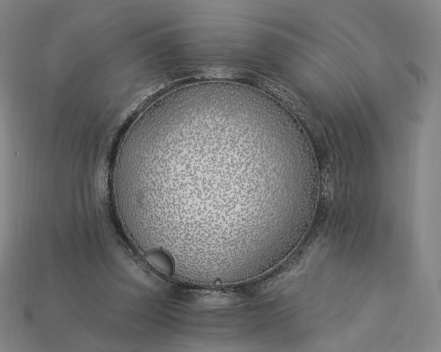 X0000115240347200911131709