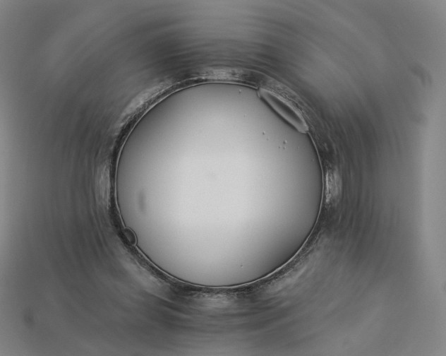 X0000115240349200911131709