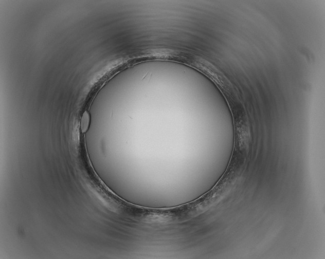 X0000115240350200911131709