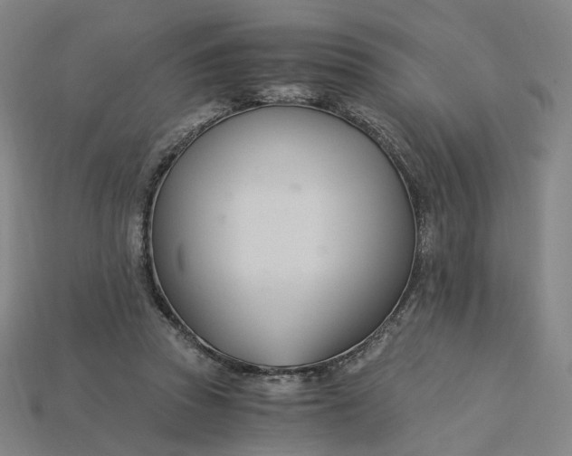 X0000115240353200911131709