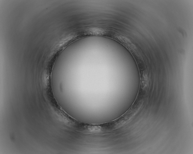 X0000115240355200911131709