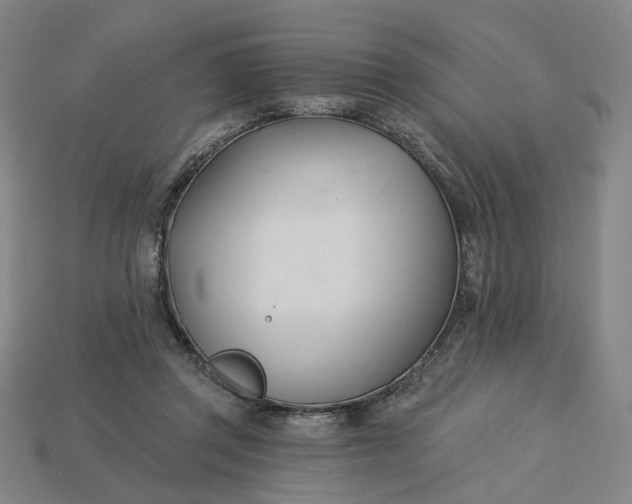 X0000115240357200911131709