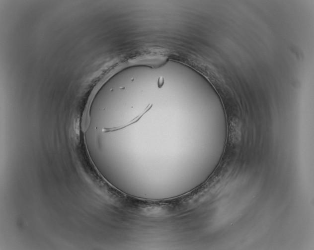 X0000115240358200911131709