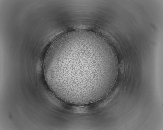 X0000115240359200911131709