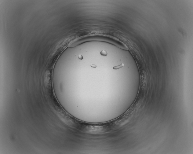X0000115240361200911131709