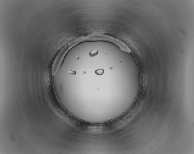 X0000115240362200911131709