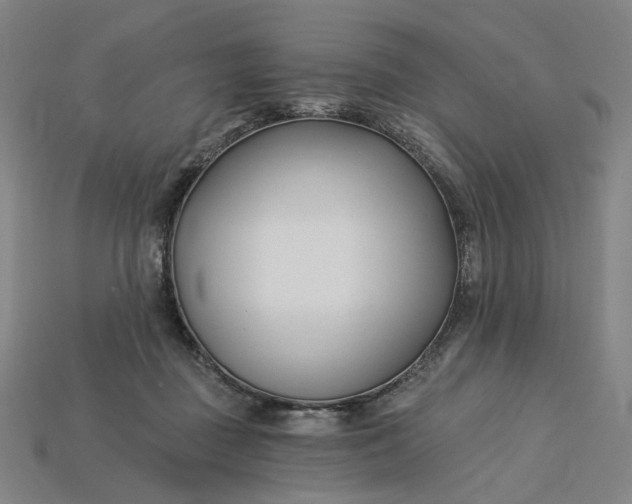 X0000115240363200911131709