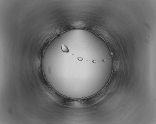 X0000115240365200911131709