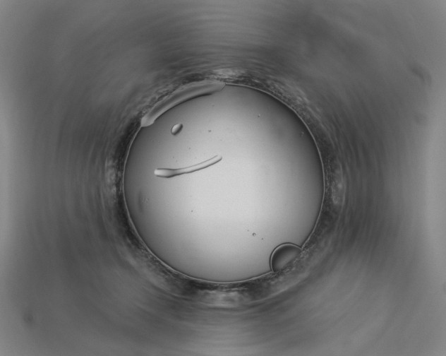 X0000115240366200911131709