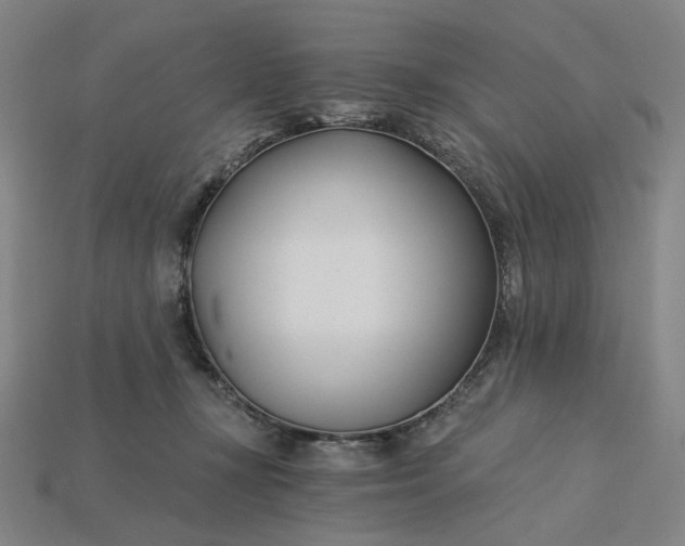 X0000115240367200911131709