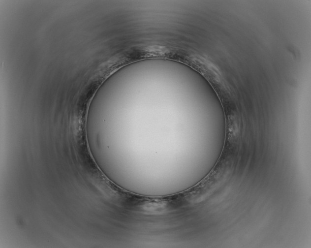 X0000115240369200911131709