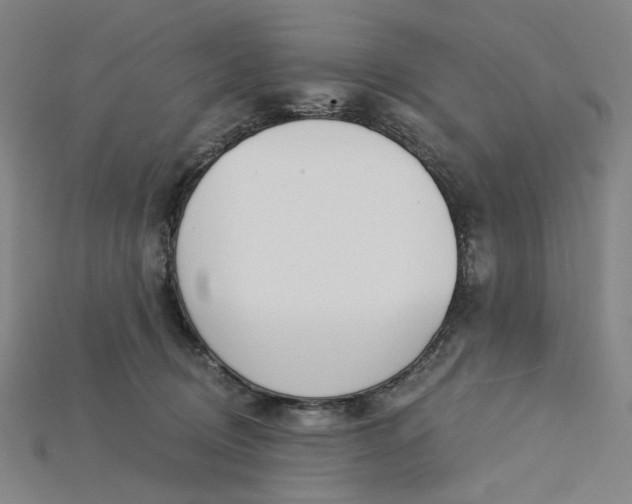 X0000115240370200911131709