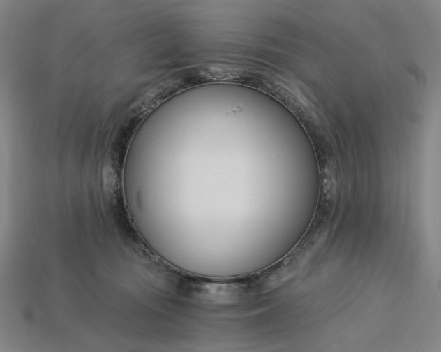 X0000115240371200911131709