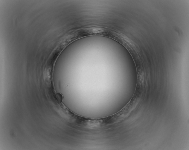 X0000115240373200911131709