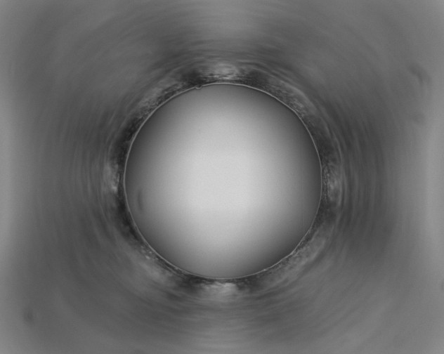 X0000115240374200911131709