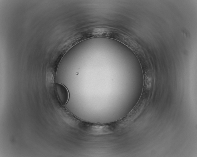 X0000115240375200911131709