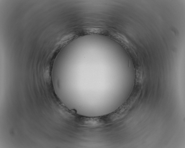 X0000115240377200911131709