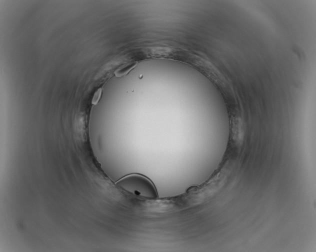 X0000115240378200911131709