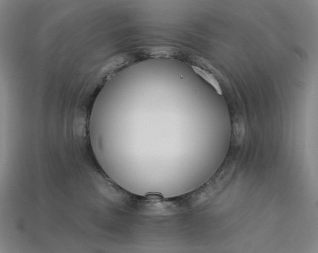 X0000115240379200911131709