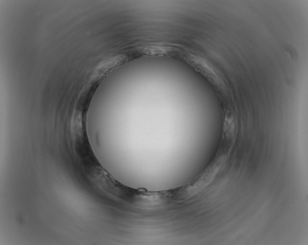 X0000115240381200911131709