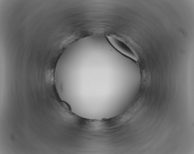 X0000115240383200911131709
