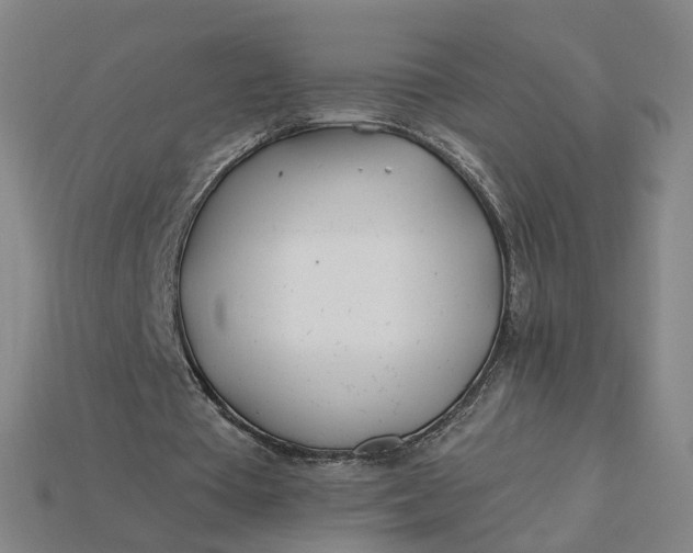X0000115240385200911131709