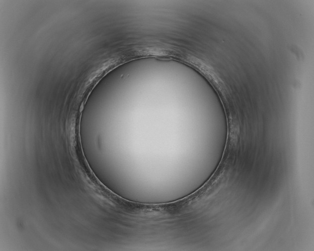 X0000115240386200911131709