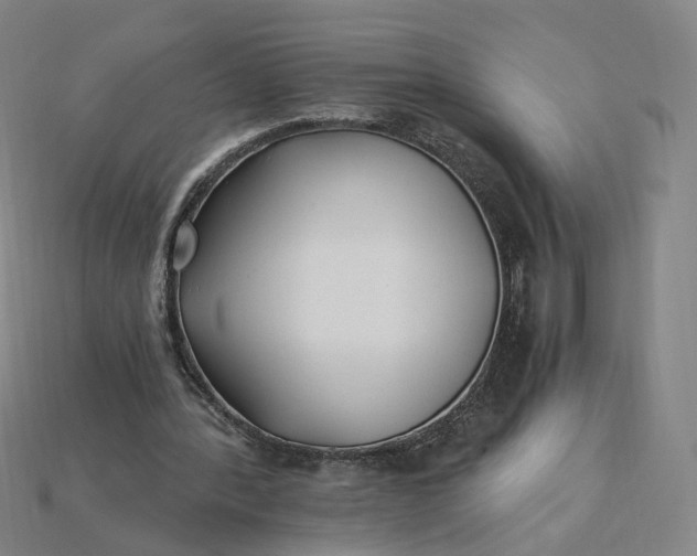 X0000115240388200911131709