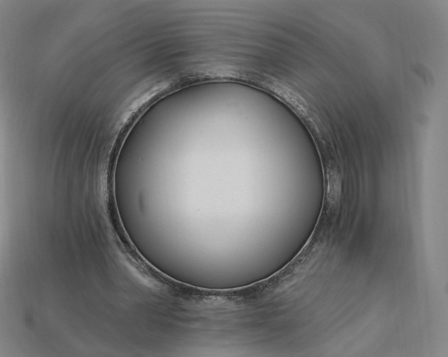X0000115240390200911131709