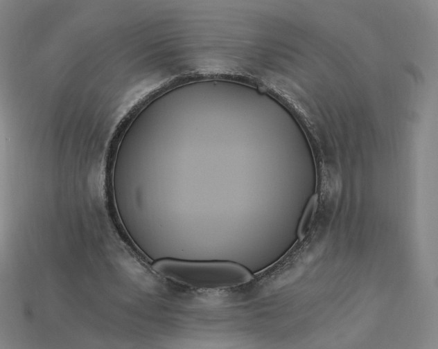 X0000115240391200911131708