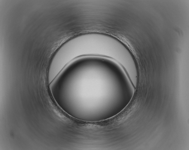X0000115240393200911131708