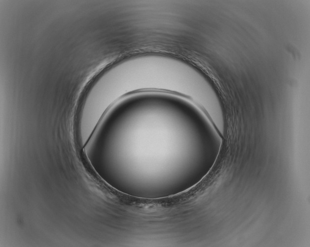 X0000115240395200911131708