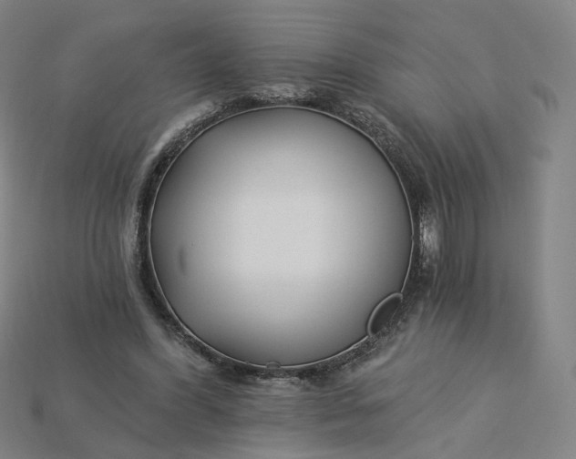 X0000115240396200911131708