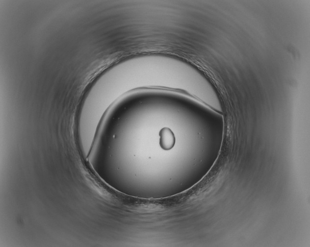 X0000115240397200911131708