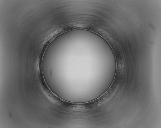 X0000115240398200911131708
