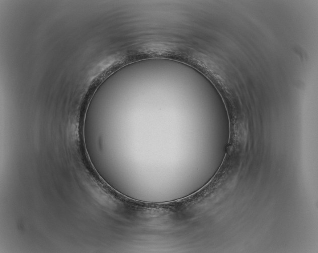 X0000115240399200911131708