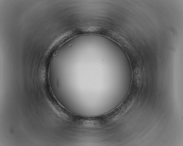 X0000115240400200911131708