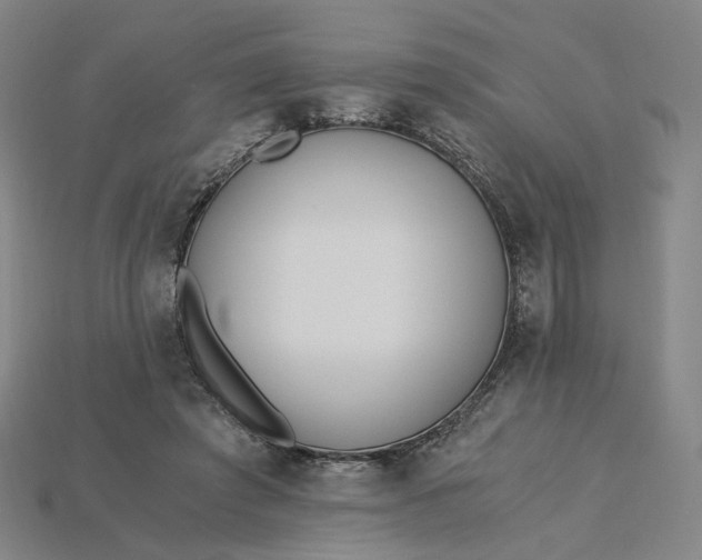 X0000115240401200911131708
