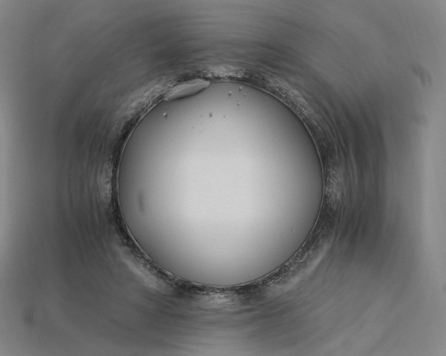 X0000115240402200911131708