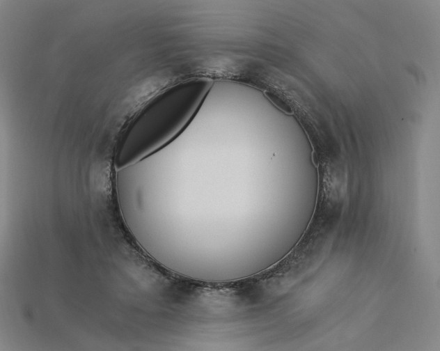 X0000115240403200911131708