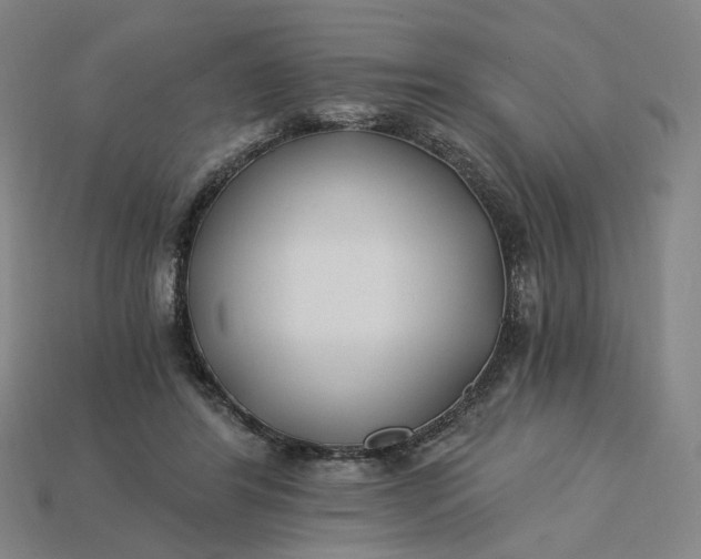 X0000115240404200911131708