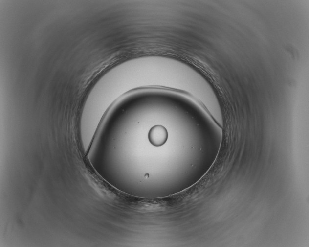 X0000115240405200911131708