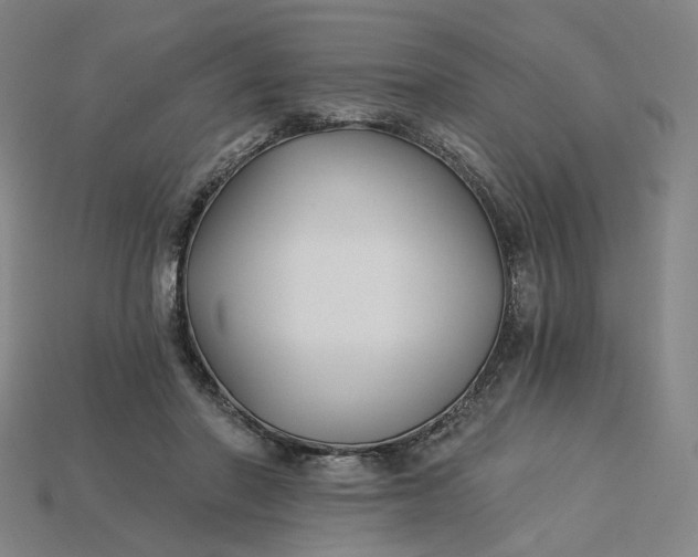 X0000115240406200911131708