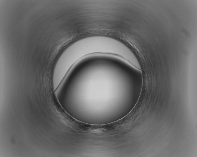 X0000115240407200911131708