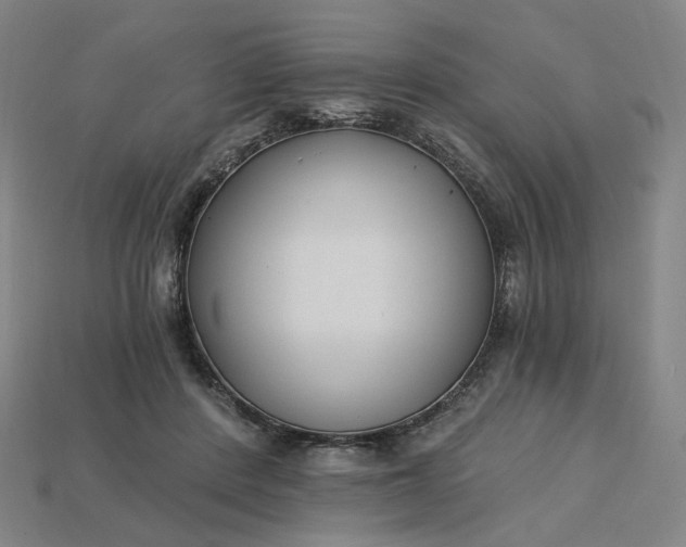 X0000115240408200911131708