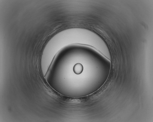 X0000115240409200911131708