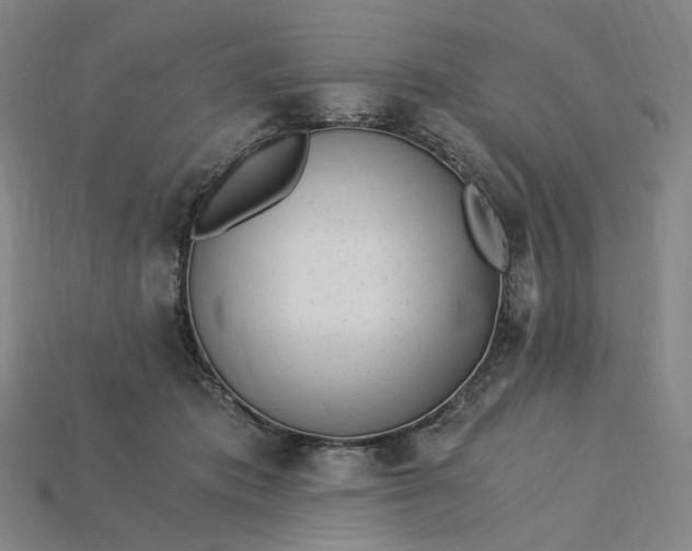 X0000115240413200911131708