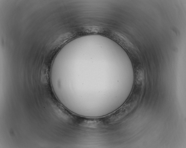 X0000115240414200911131708